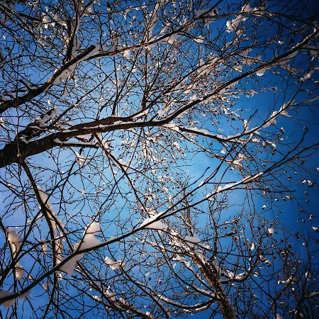 Apartmenthaus Mountainvista Kleinarl