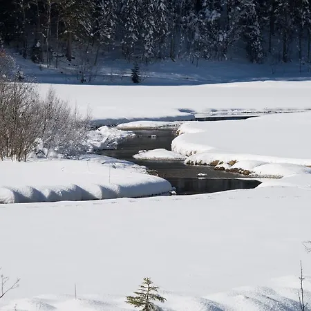 Appartement Apartmenthaus Mountainvista Kleinarl