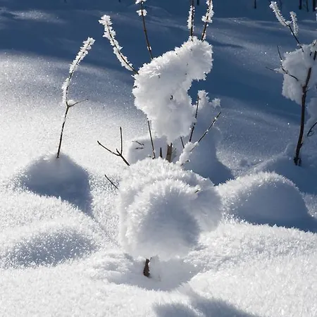 Apartmenthaus Mountainvista Kleinarl