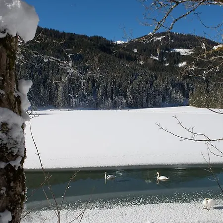 Apartmenthaus Mountainvista *