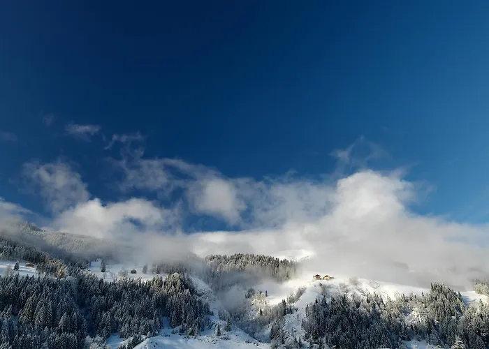 Apartmenthaus Mountainvista *