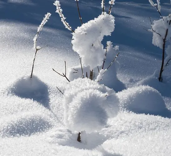 Apartmenthaus Mountainvista Kleinarl