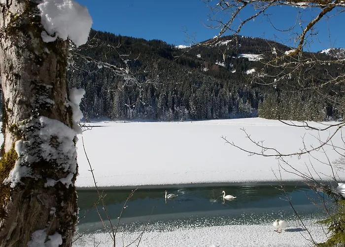 Apartmenthaus Mountainvista *